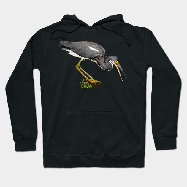Tricolored Heron Hoodie by obscurite